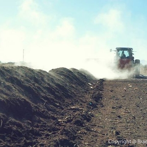 UA Compost Cats: Students Creating Community Partnerships to Turn Garbage into Gardens and Foster Local Food Security