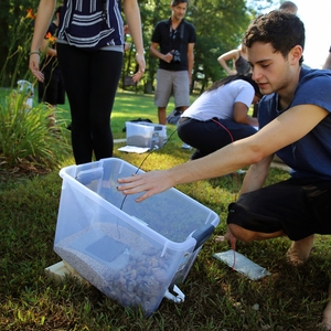 First-year students experiment with the effectiveness of model raingardens simliar to those at the Kern Center.