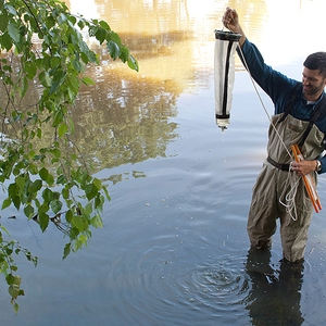 UConn Reserach Gathers Critical Information Needed in Fight to Save Wildlife