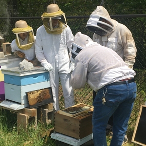 Furman Bee Club