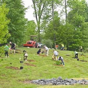 UNC Charlotte Campus Beautification Day