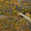 Natural Resources Students Participate in Stream Ecology Course at Colorado State University Mountain Campus