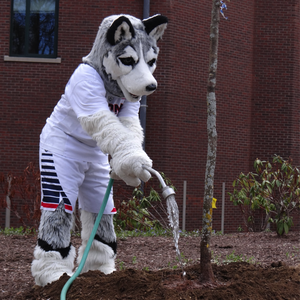 UConn Earth Day Spring Fling & Arbor Day