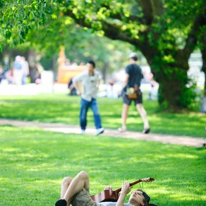 Pack Forest at UW