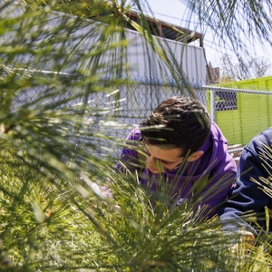 Concordia University's Earth Week BioBlitz