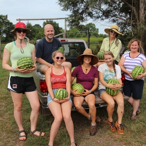 Working with vegetables, mulch and compost at the Guilford College Farm