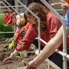 Students engage in hands-on planting in the UT Dallas Community Garden donation plot