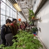 Concordia University students, faculty and staff take part in a plant sale at the Concordia Greenhouse.