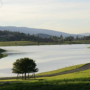 Stanford Photos for Top Performer Categories