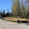 Ecological Restoration of Parking Lot O looking south.