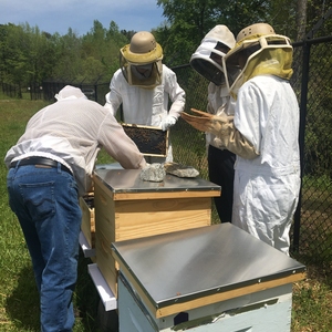 Furman Bee Club