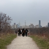 U of T staff and students on a nature walk with the CN Tower in the background