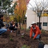 SOU Students and Professor Planting Pollinator Habitats