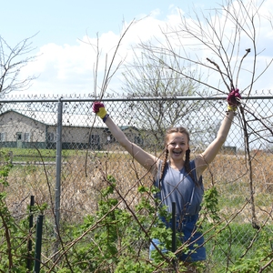 Earth Day Raspberries