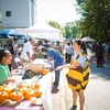 Students help spread the word about Emory's Pollinator Protection Commitment