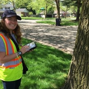 New Ways to Love Trees