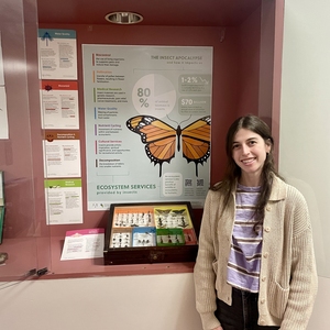 Sustainability Fund Project: Insect Biodiversity Displays