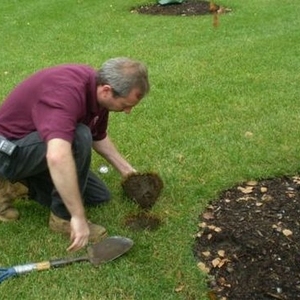 Harvard Facility Maintenance Operations Organic Landscaping