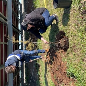 Arbor Day Tree Planting