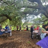 Informational tables are seen set up under a large tree with students milling about
