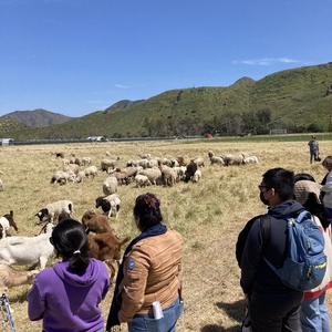 CSU Channel Islands Teaches About Sustainable Land Management During Earth Month