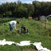 Students working on campus farm as part of Physical Well Being Class