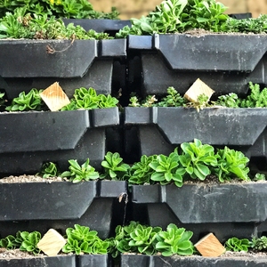 University of Dayton Green Roof Installation