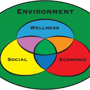 Integrating Wellness and Diversity into the Sustainability Model: A Faculty and Staff Perspective