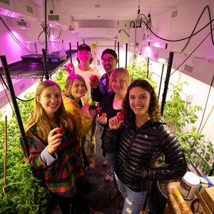 University of Oregon GrowPod Tomato Harvest