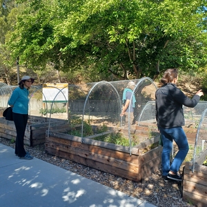Cal Poly faculty learn about the student garden and food pantry on campus outside of the FLC sessions so they can provide students with information about equitable resources on campus.