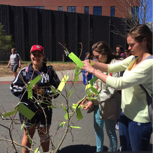 UConn Earth Day Spring Fling & Arbor Day