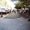 UT Farm Stand long lines before opening first event