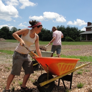 Transforming the Higher Education Landscape: Researching, Planting and Seed-saving Native Grasses and Wildflowers at Warren Wilson College