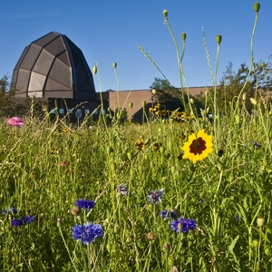 University of Minnesota, Duluth - Pollinator Pledge