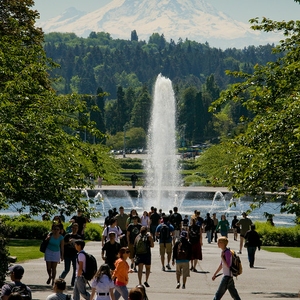 Pack Forest at UW