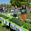 Rider Eco-Reps & Green Team pollinator friendly plant table at Earth Day event