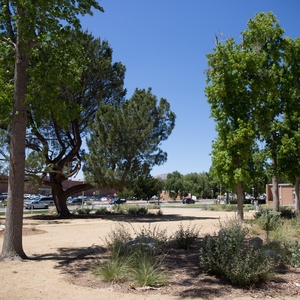 CSUN's Saves 55 Million Gallons per Year Through Various Water Conservation Efforts