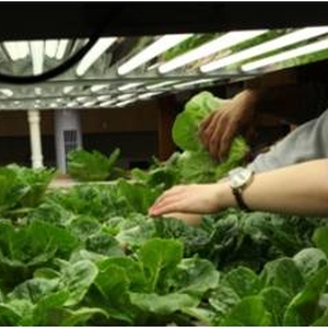 Aquaponic food production as an integrating context for campus sustainability