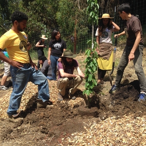 Orchard Planting: Earth Week