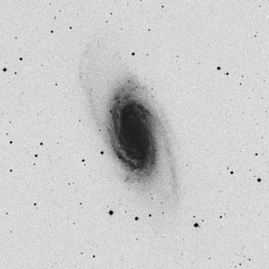 ngc2903