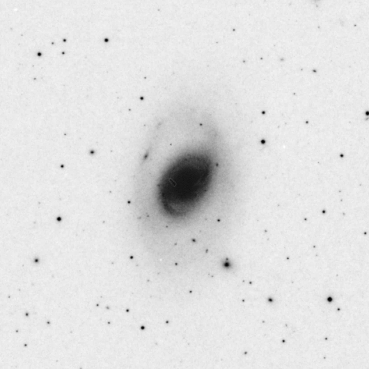 ngc3368