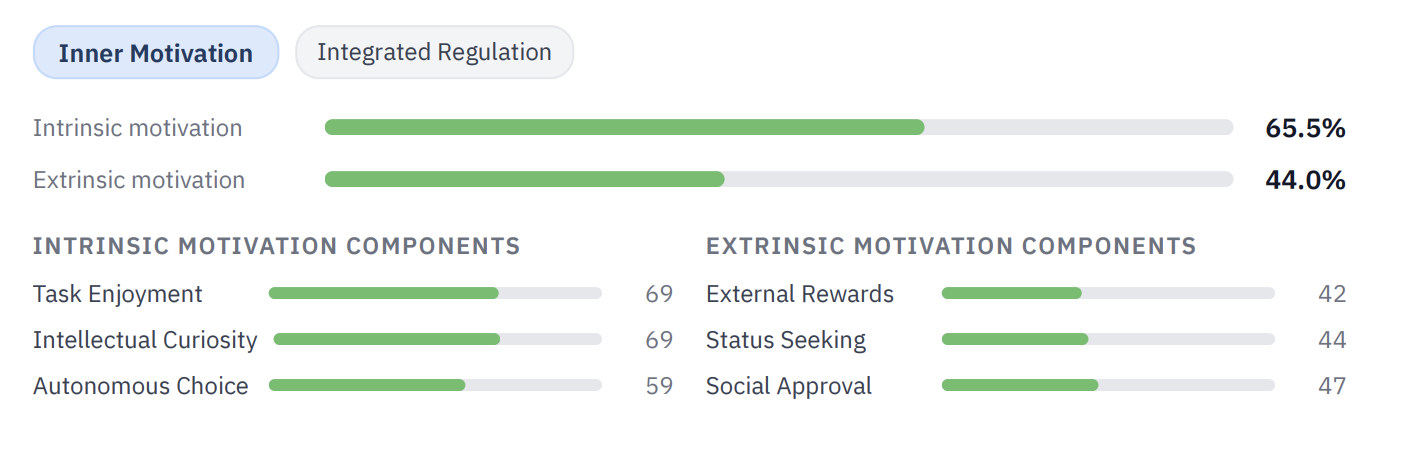 Motivation Profile