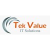 TekValue IT Solutions logo