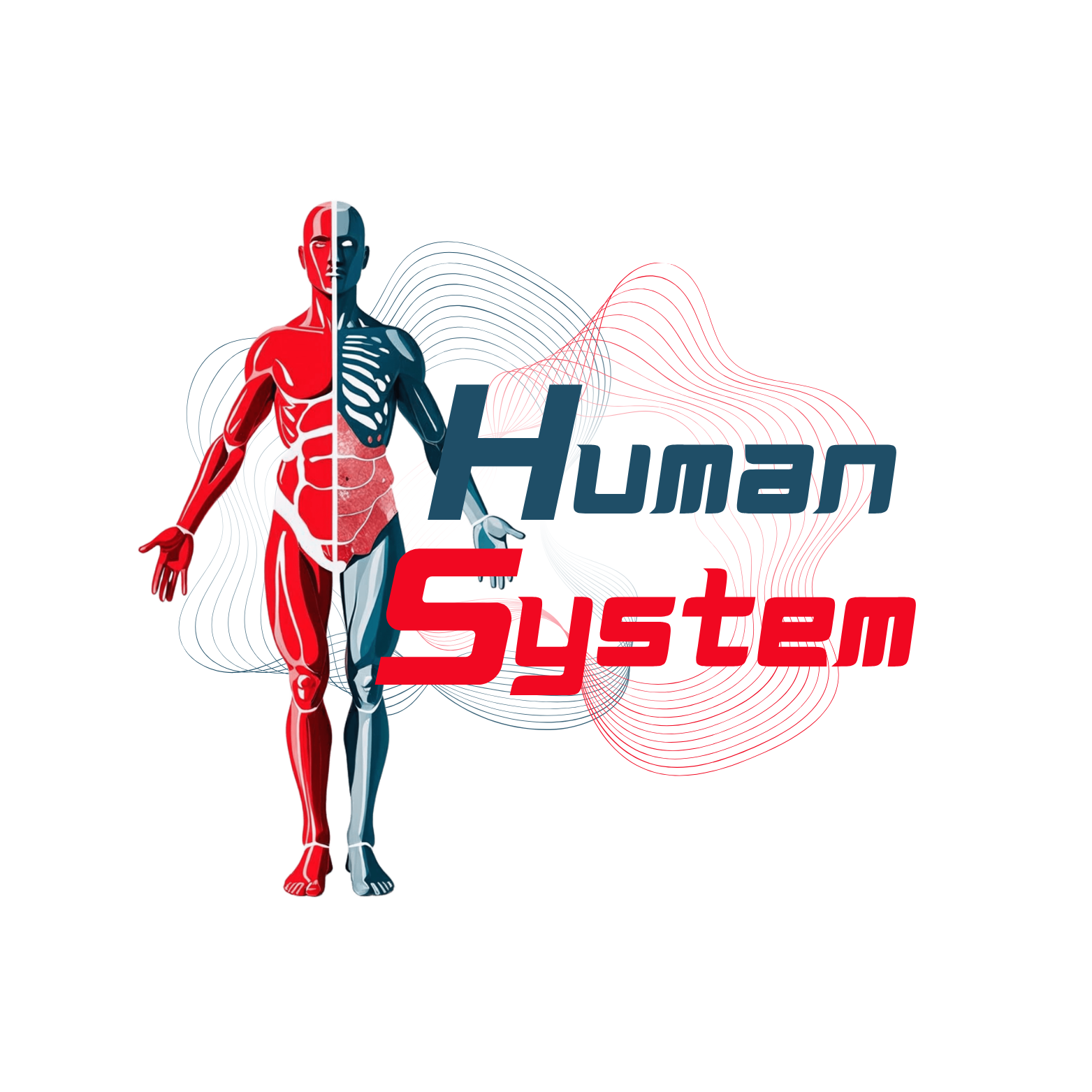 Logo HS