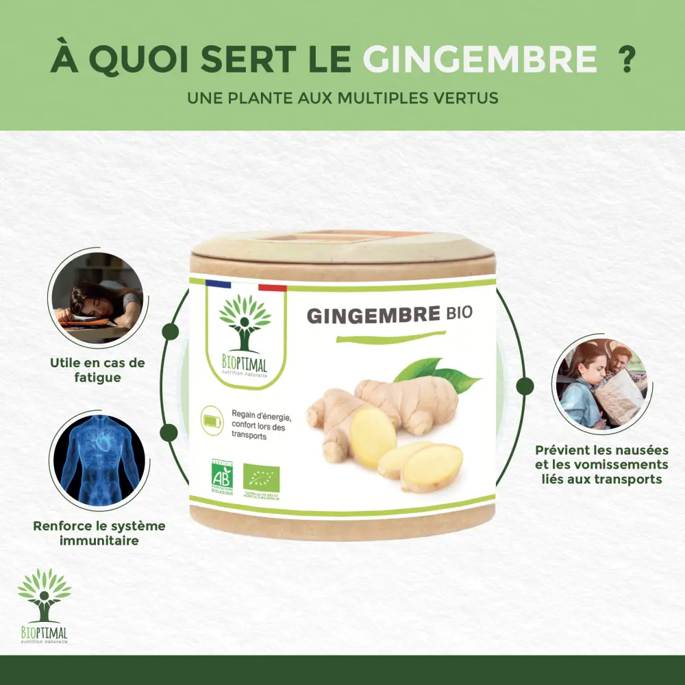 Gingembre bio - 2 x 60 — BIOPTIMAL