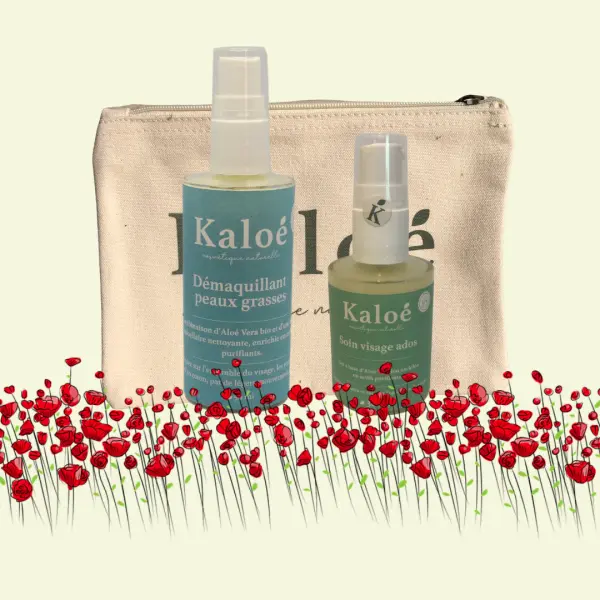 Routine visage 2 produits ados - Soin visage ados 30 ml + Démaquillant peaux grasses 50 ml + Trousse S