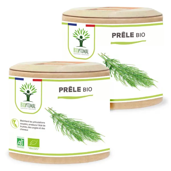 Bio Schachtelhalm - 120Stück