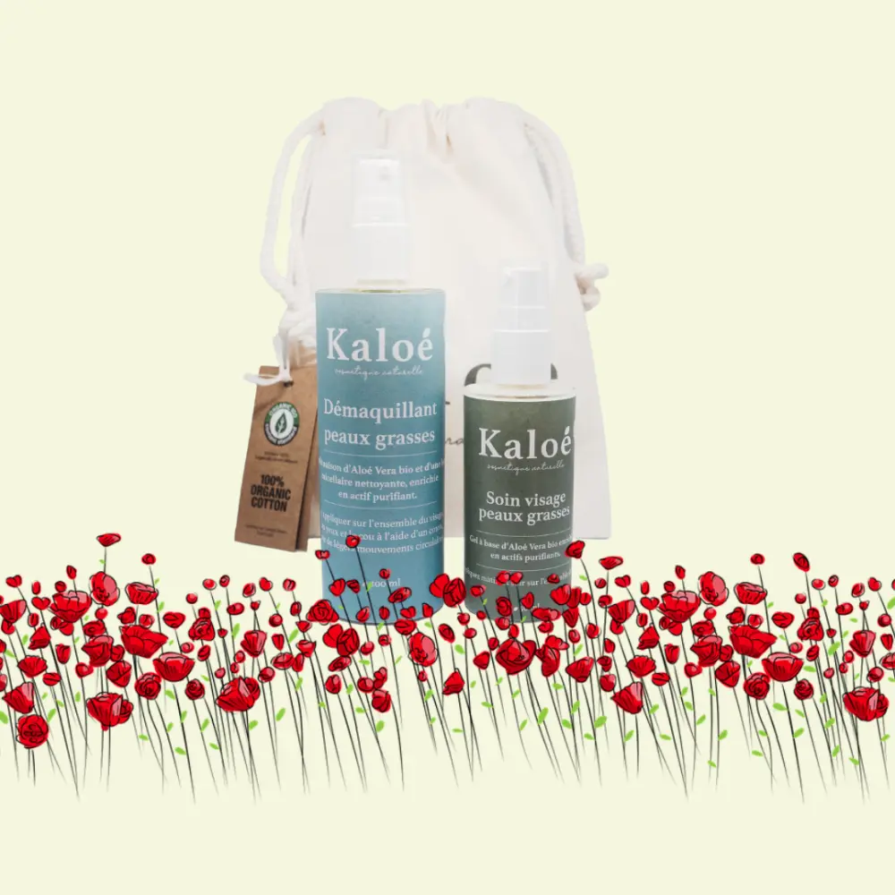 Gesichtspflege fettige Haut + Make-up-Entferner + Pochon — Kaloé