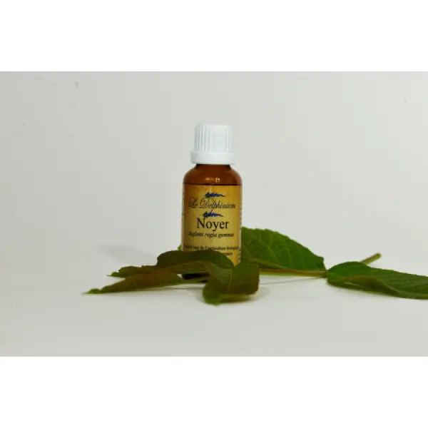 Bourgeon de Noyer Bio