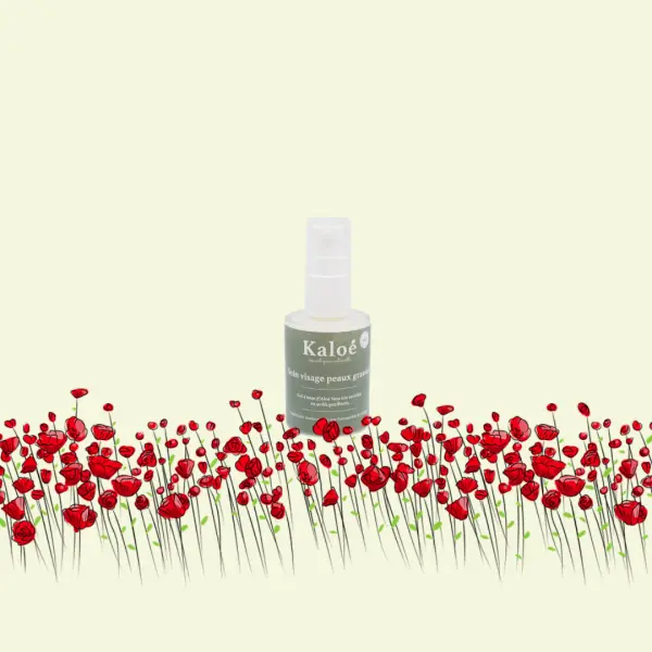 Soin visage peaux grasses - 30ml